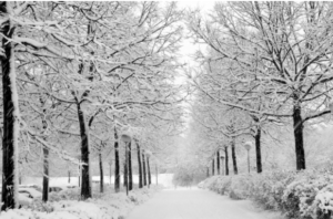 Winter's Effect On Whole Health