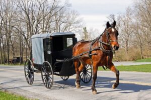 Amish and Autism