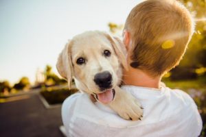 Our Healing Relationships With Pets